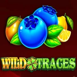 Play Wild Traces slot by Amusnet Interactive on bet-republic.org